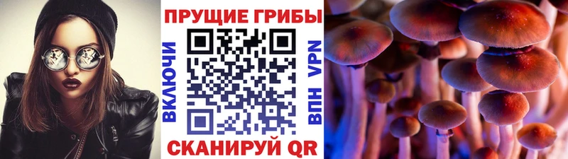 Галлюциногенные грибы Cubensis  где можно купить наркотик  даркнет официальный сайт  Костомукша 