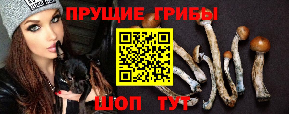 Псилоцибиновые грибы GOLDEN TEACHER Костомукша