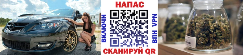 Бошки Шишки планчик  Костомукша 